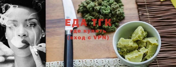 индика Елизово
