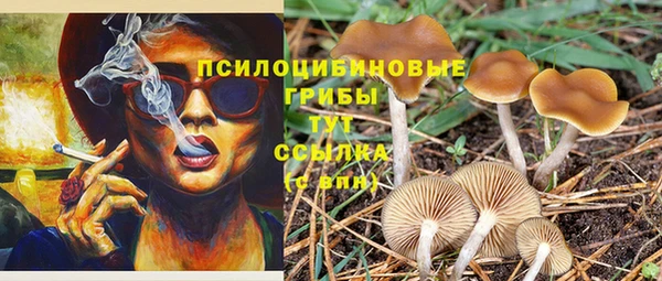 синтетический гашиш Ельня
