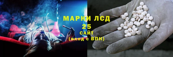 индика Елизово
