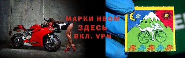 индика Елизово