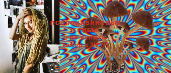 индика Елизово