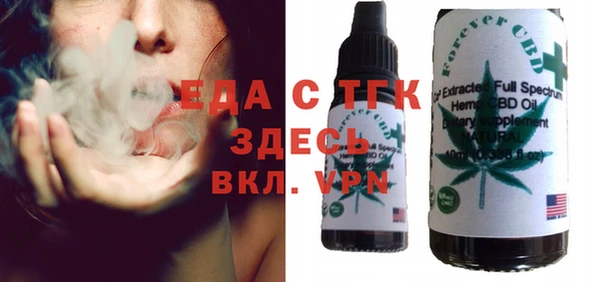 индика Елизово