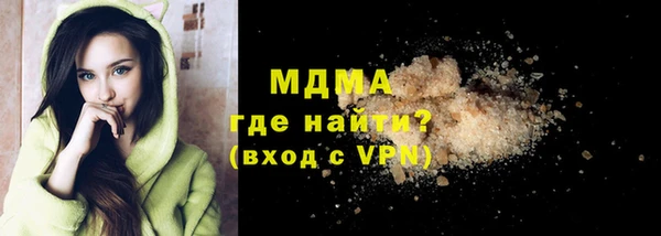 индика Елизово