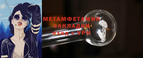 индика Елизово