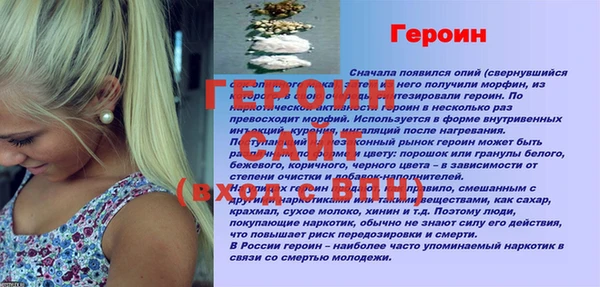 индика Елизово