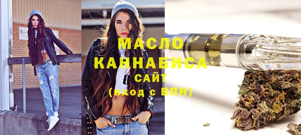 индика Елизово