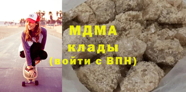 индика Елизово