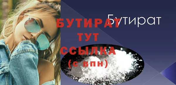 индика Елизово