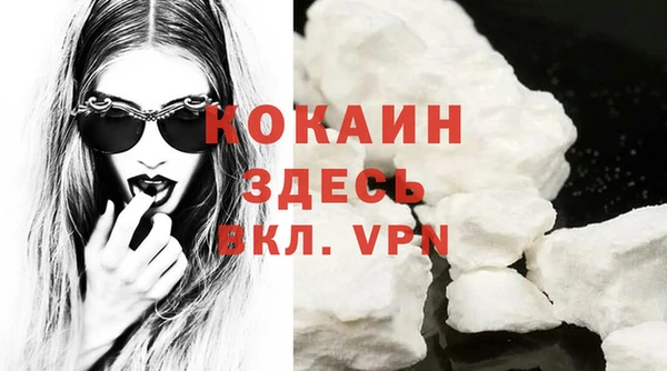индика Елизово
