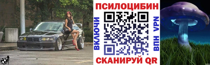 Псилоцибиновые грибы мицелий  наркота  Королёв 